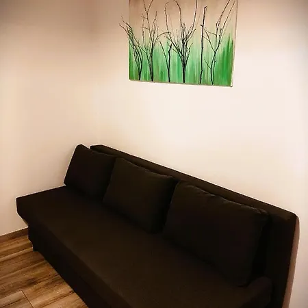 Apartma Tara 公寓