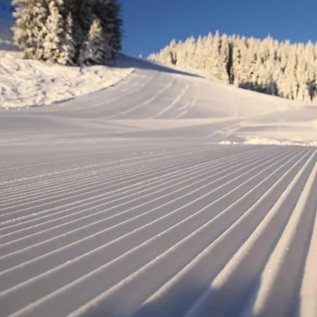 Apartma Tara דירה Prebold