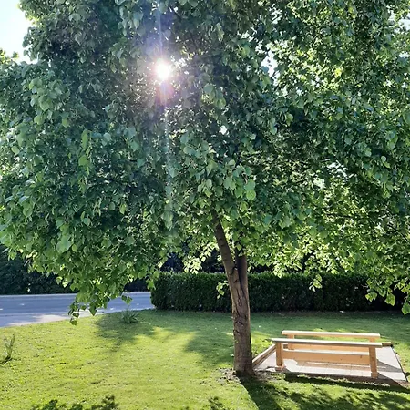 Apartma Tara דירה *