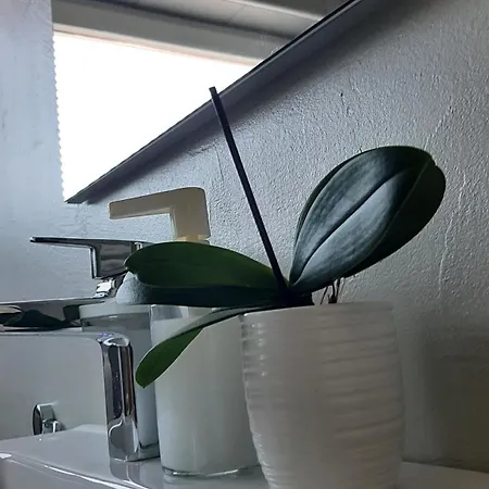 Apartma Tara Apartman Prebold