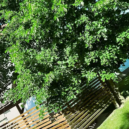 Apartma Tara Prebold