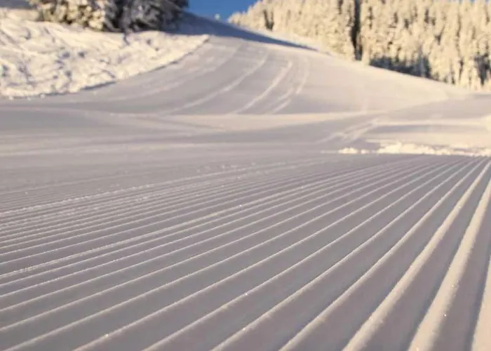 Apartma Tara Apartma Prebold