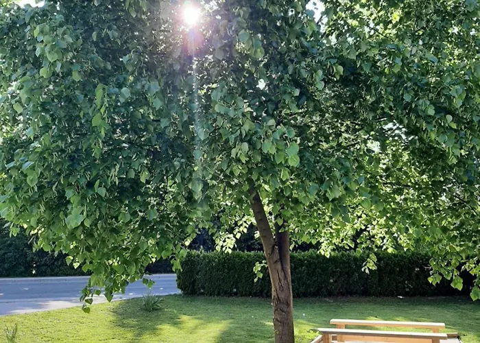 Apartma Tara Apartma *