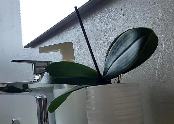 Apartma Tara Apartma Prebold